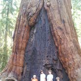 Review photo of Dorst Creek Campground — Sequoia National Park - TEMPORARILY CLOSED by Christy C., July 19, 2016