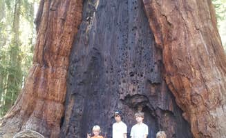 Christy C.'s photo at Dorst Creek Campground — Sequoia National Park - TEMPORARILY CLOSED near Kaweah, CA