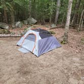 Review photo of Pawtuckaway State Park Campground by Ben J., August 26, 2021