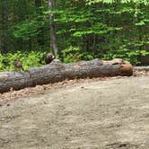 Review photo of Pawtuckaway State Park Campground by Ben J., August 26, 2021