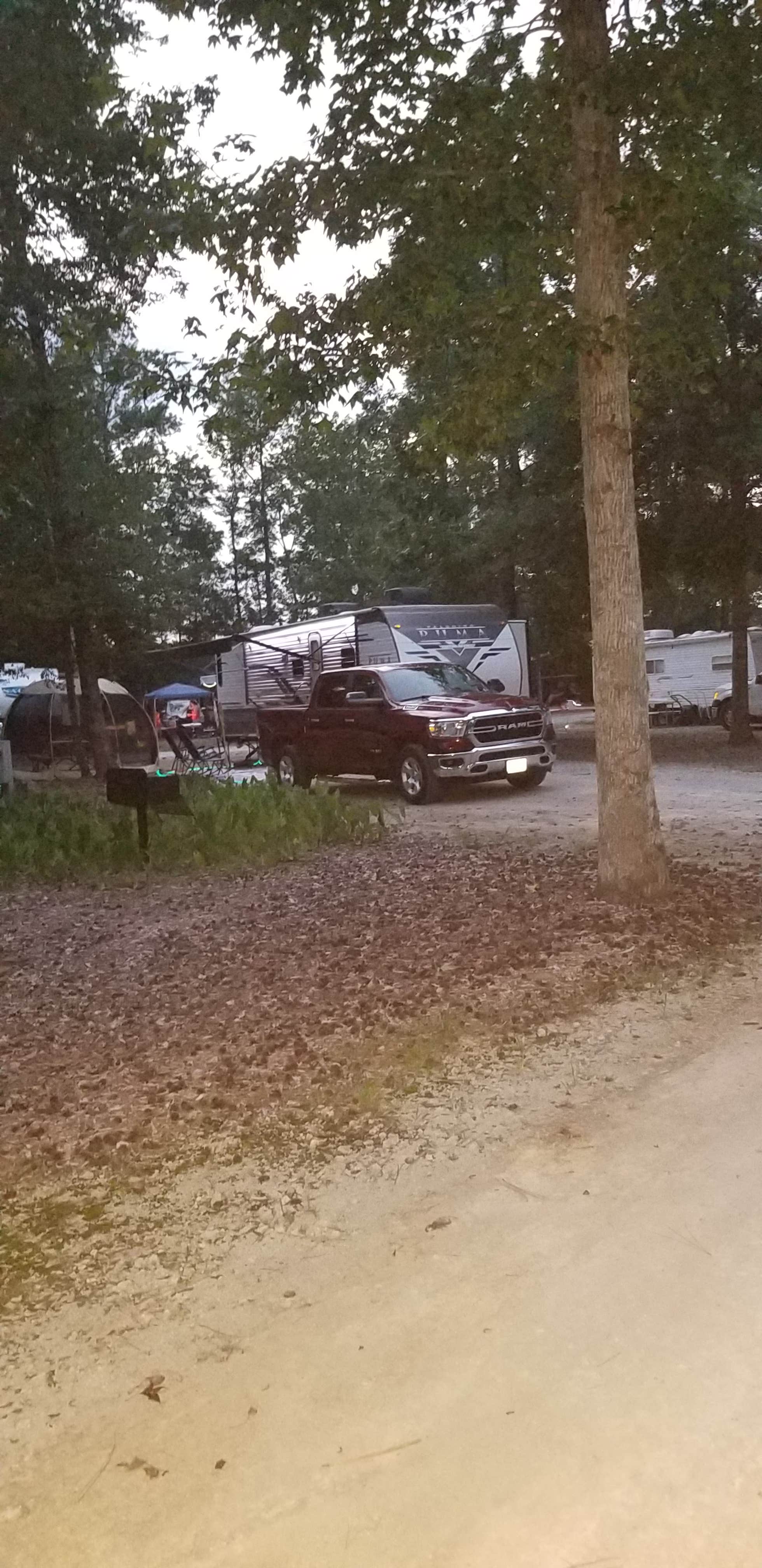 Camper submitted image from CarrollWoods RV Park at Grapefull Sisters Vineyard - 4