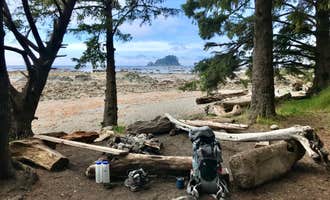 Camping near Hobuck Resort and Beach Area: Cape Alava Campground — Olympic National Park, Neah Bay, Washington