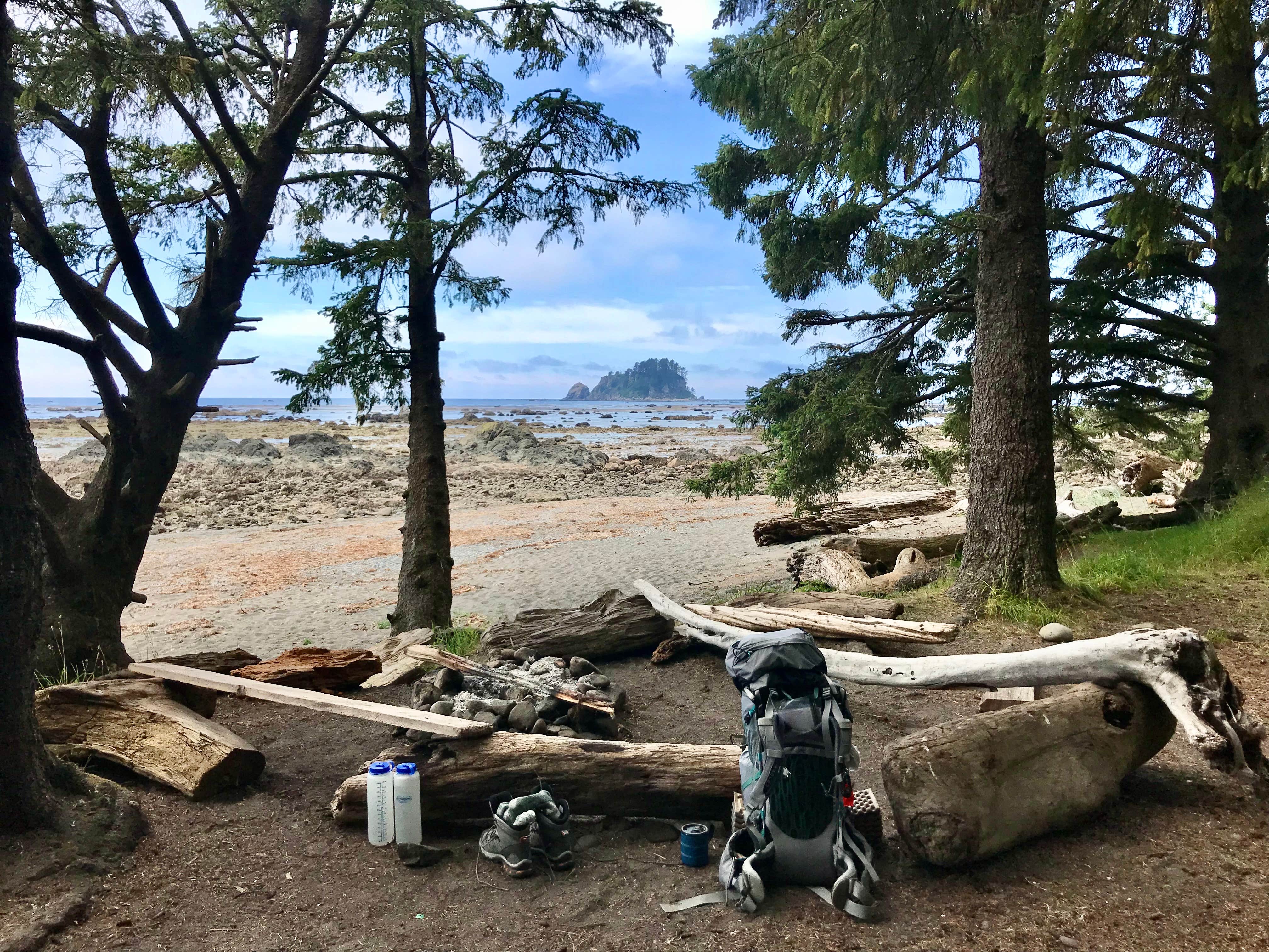 Camper submitted image from Cape Alava Campground - 1