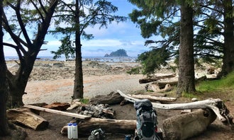 Camping near Lost Resort at Lake Ozette — Olympic National Park: Cape Alava Campground — Olympic National Park, Neah Bay, Washington