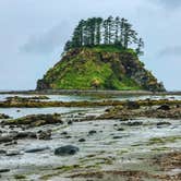 Review photo of Cape Alava Campground by Kelly G., August 26, 2021