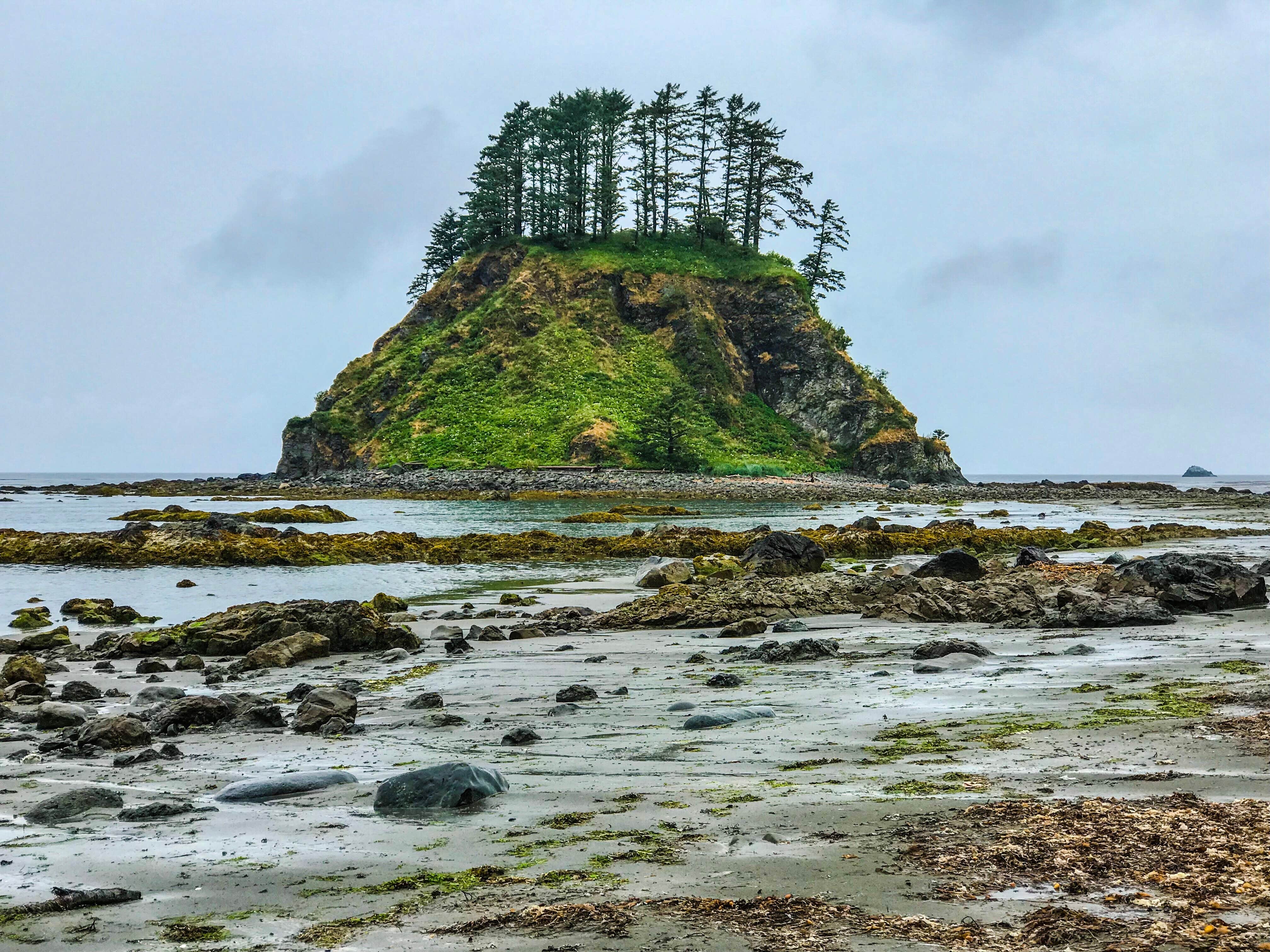 Camper submitted image from Cape Alava Campground - 4