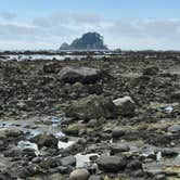 Review photo of Cape Alava Campground by Kelly G., August 26, 2021