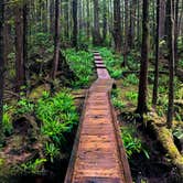 Review photo of Cape Alava Campground by Kelly G., August 26, 2021