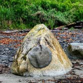 Review photo of Cape Alava Campground by Kelly G., August 26, 2021