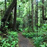 Review photo of Cape Alava Campground by Kelly G., August 26, 2021