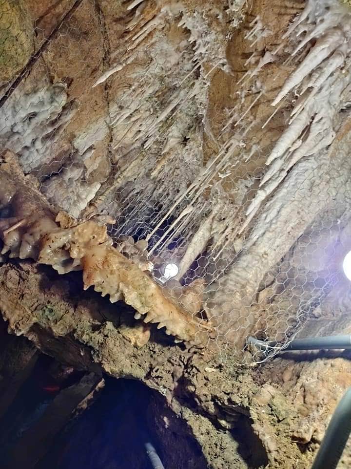 Camper-submitted photo at Spruce Creek Park near Oxford Junction, IA