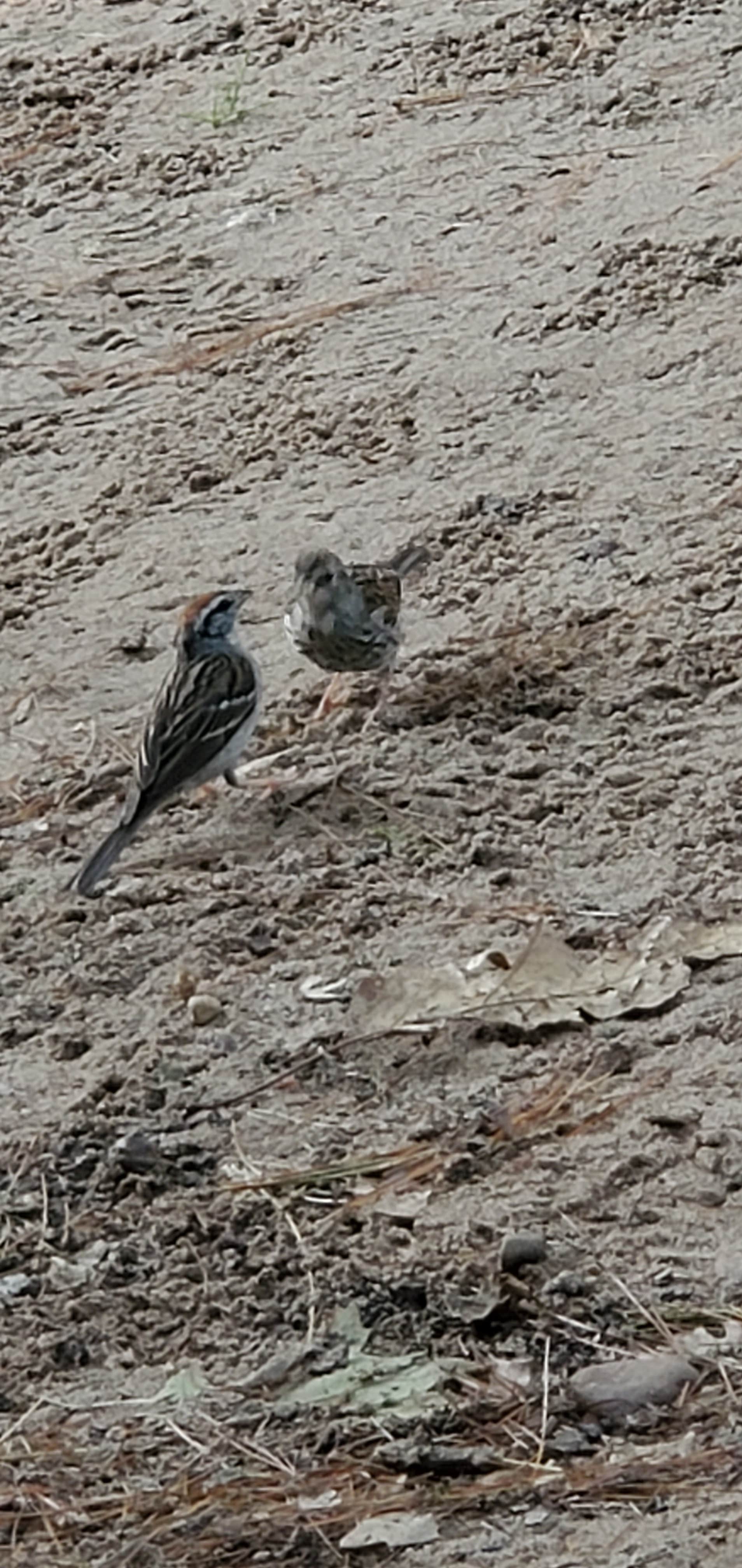 Camper-submitted photo at Lynn Ann's Campground near Woodruff, WI