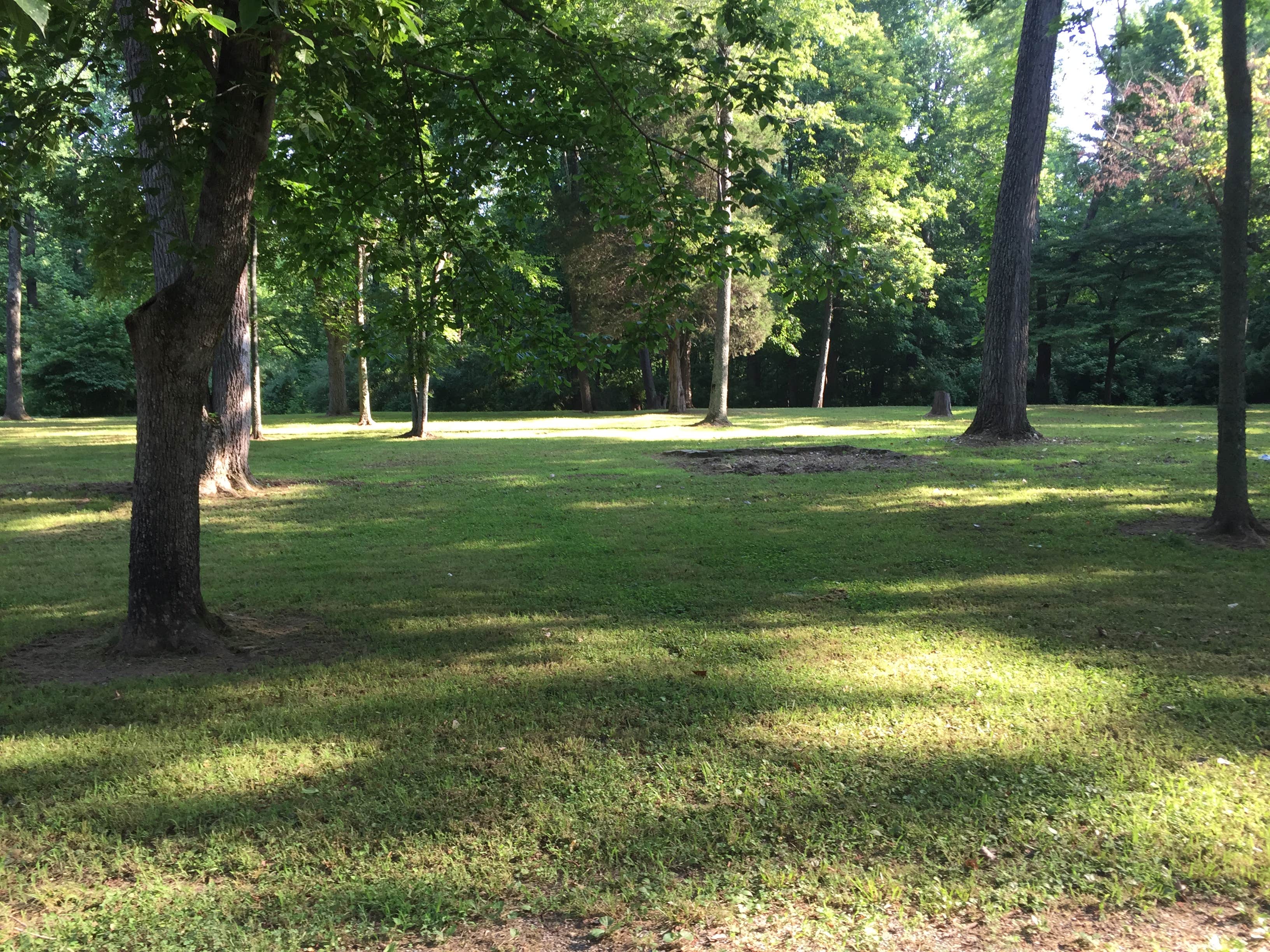 Camper-submitted photo at Tower Rock Campground near Herod, IL