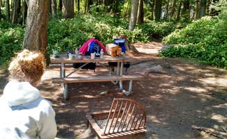 Don's photo of tent camping at Obstruction Pass State Park Campground near Hamilton, WA