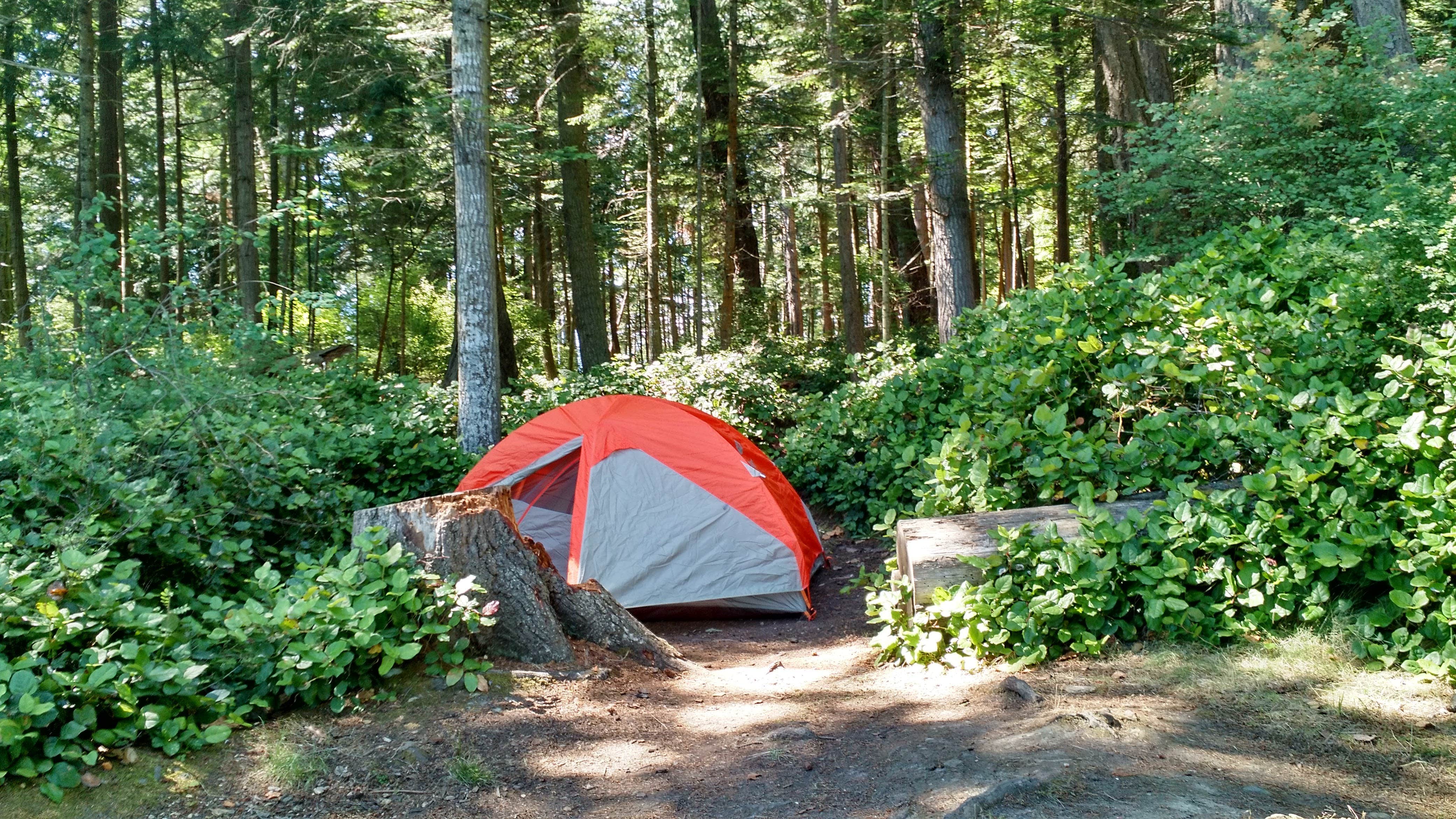 Camper submitted image from Obstruction Pass State Park Campground - 5