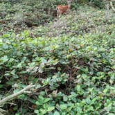 Review photo of Fort Ebey State Park by Don , August 26, 2021