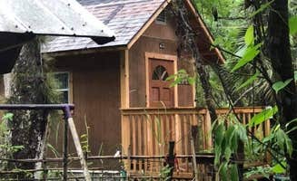 Donna B.'s photo of glamping accommodations at Grateful Hammock in Florida
