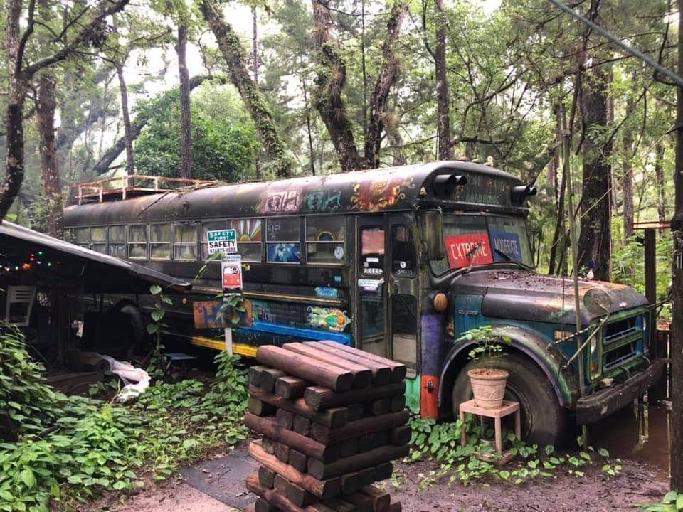 Camper-submitted photo at Grateful Hammock near National Forests in Florida