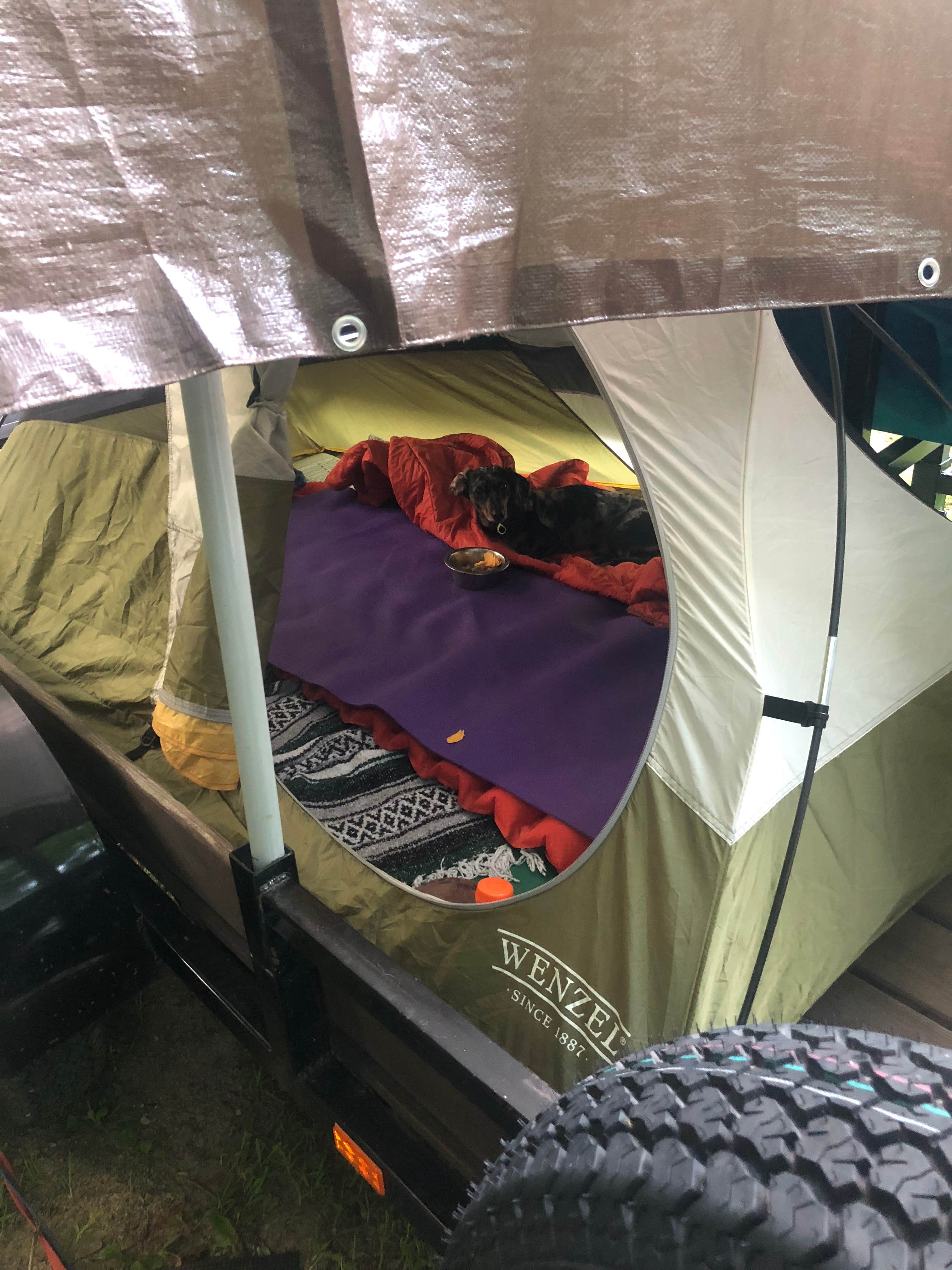 Shelly S.'s photo of tent camping at Tower Rock Campground near Herod, IL