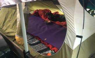 Shelly S.'s photo at Tower Rock Campground near Cave-In-Rock, IL