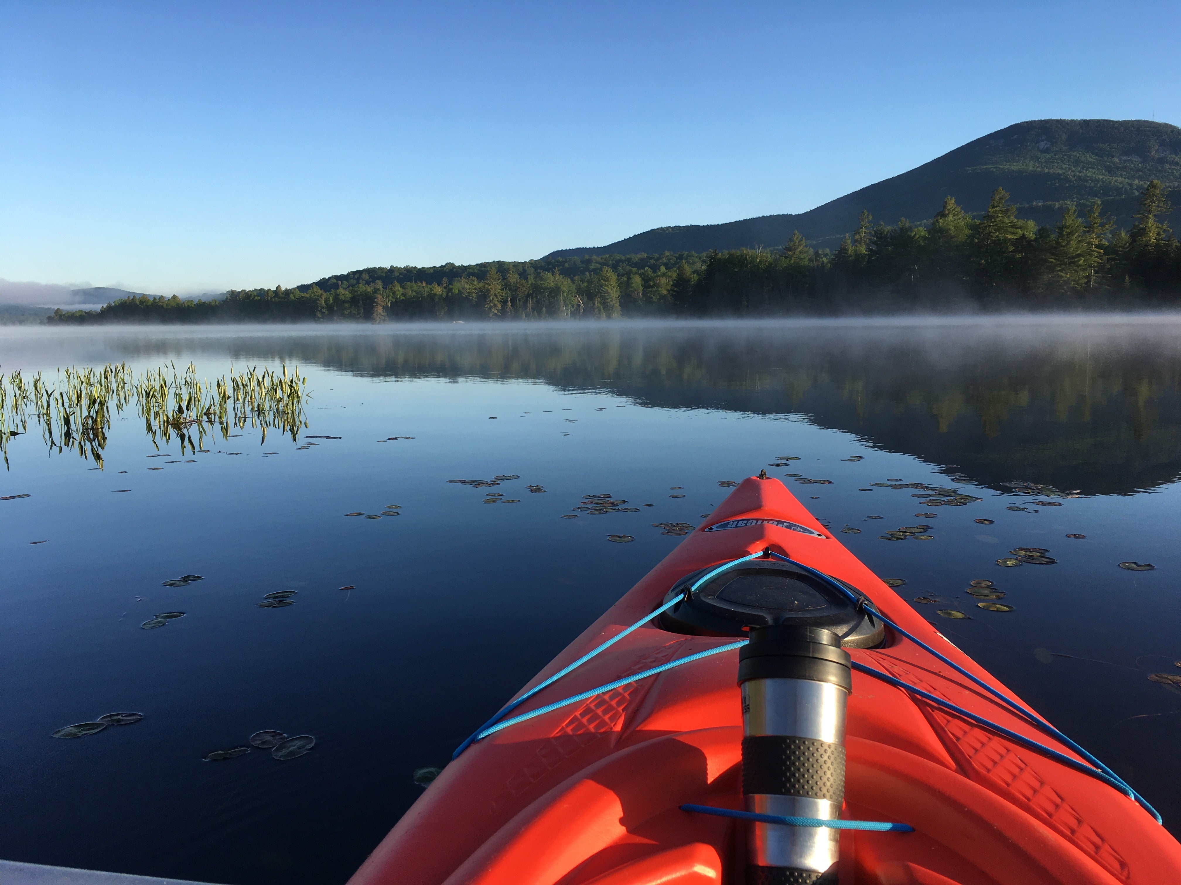 Camper submitted image from Lake Durant Adirondack Preserve - 5