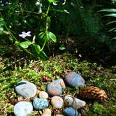 Review photo of Mora Campground — Olympic National Park by Kelly G., August 26, 2021