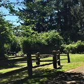 Review photo of Mora Campground — Olympic National Park by Kelly G., August 26, 2021