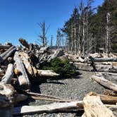 Review photo of Mora Campground — Olympic National Park by Kelly G., August 26, 2021