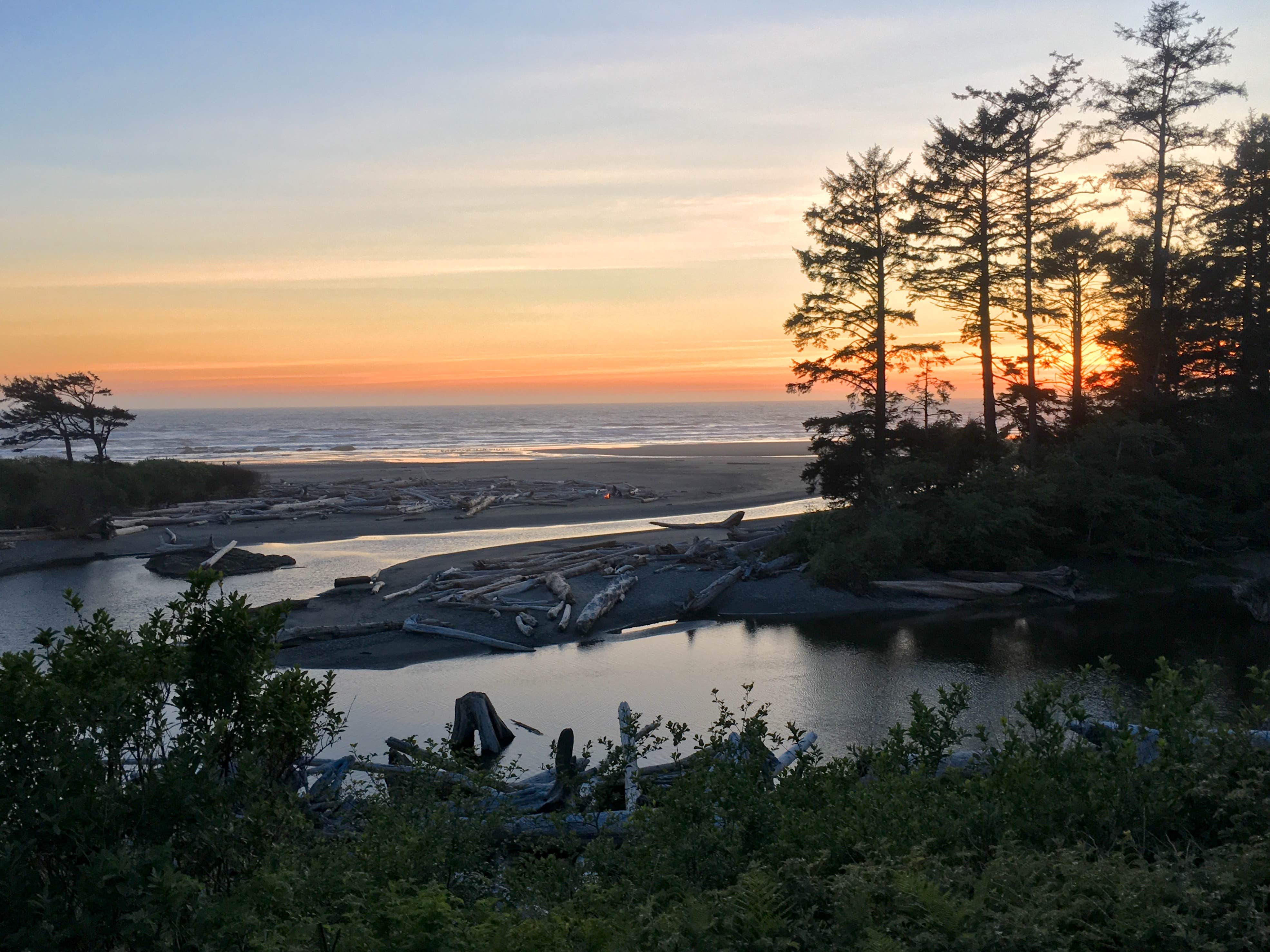 Kalaloch Campground The Dyrt   Kalaloch Olympic National Park F1c1e1df 4cbc 478a B405 51ecc574ac8f 