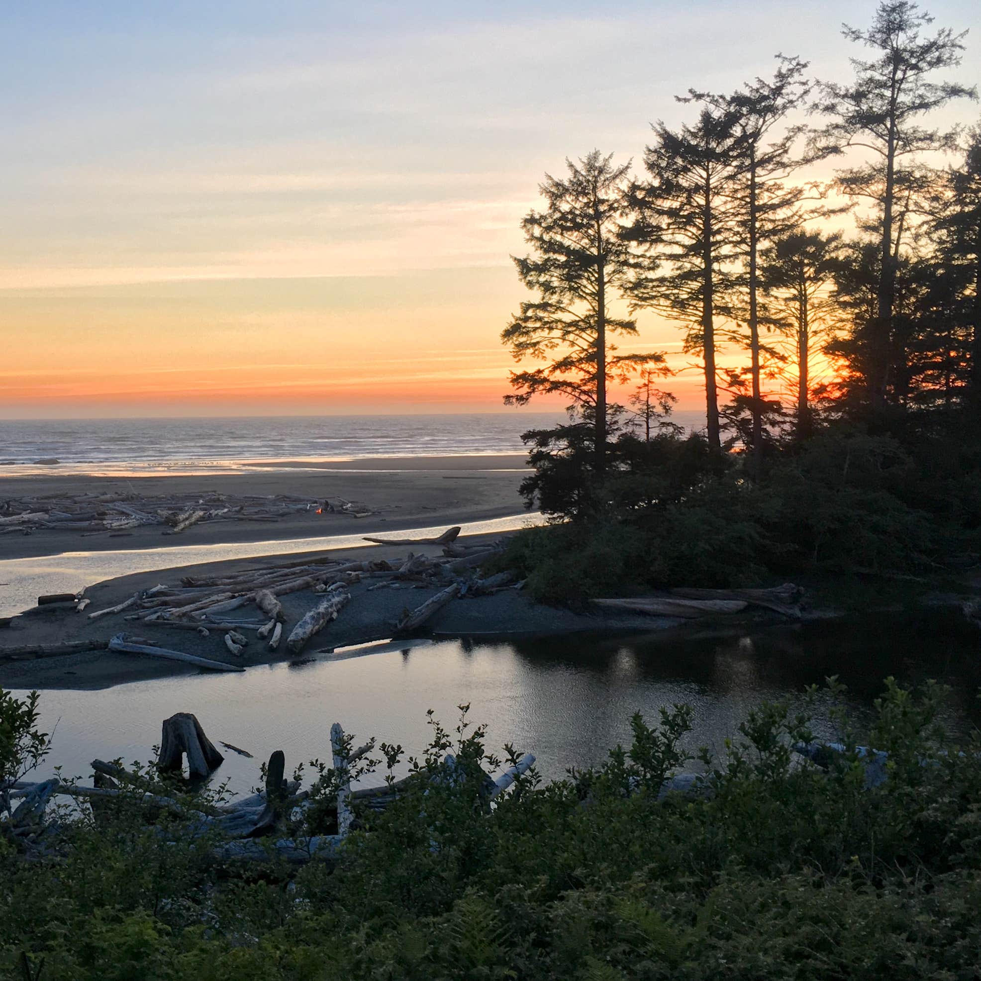 Kalaloch Campground | The Dyrt