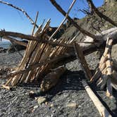 Review photo of Kalaloch Campground - group — Olympic National Park by Kelly G., August 26, 2021