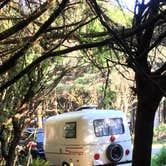 Review photo of Kalaloch Campground - group — Olympic National Park by Kelly G., August 26, 2021
