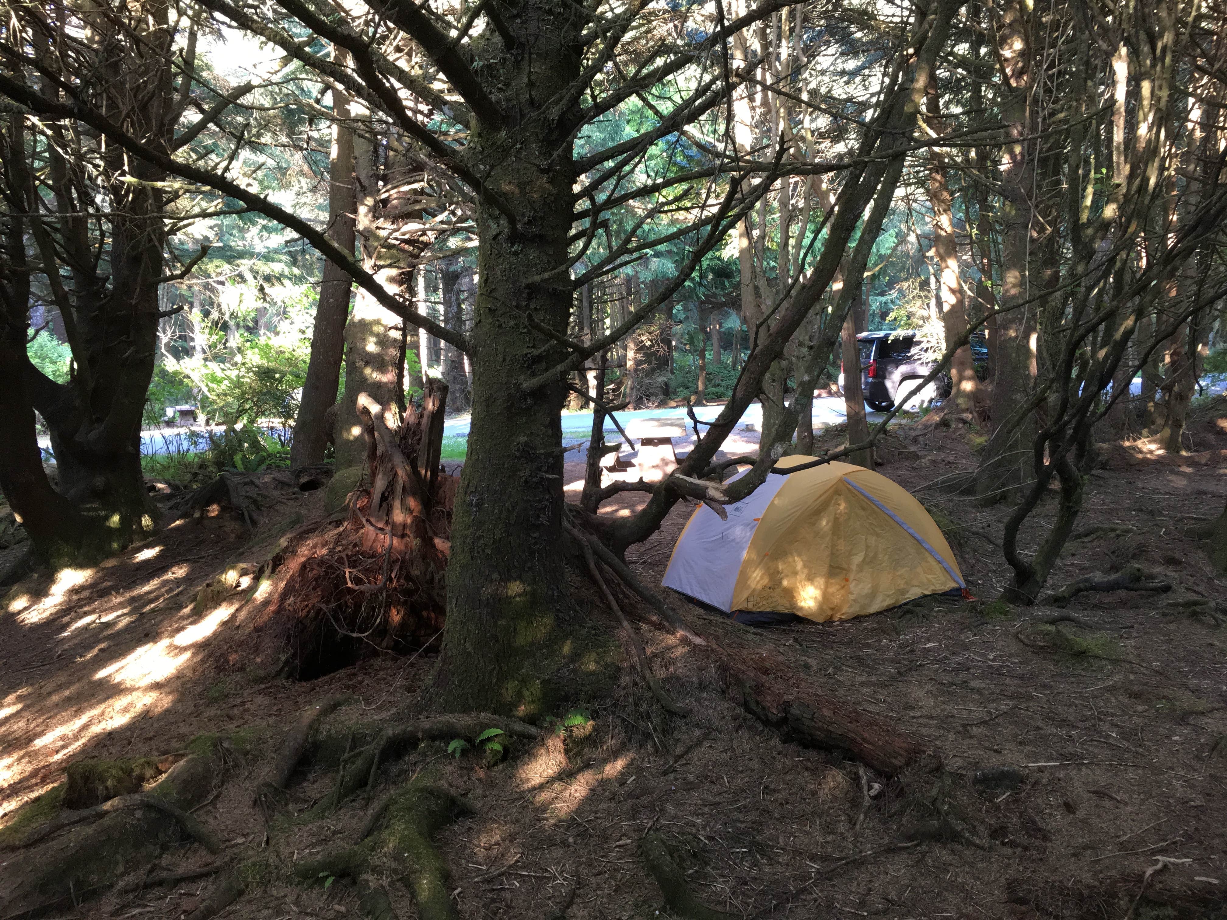 Kelly G.'s photo at Kalaloch Campground - group — Olympic National Park near Amanda Park, WA