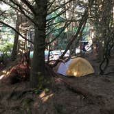 Review photo of Kalaloch Campground - group — Olympic National Park by Kelly G., August 26, 2021