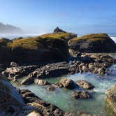 Review photo of Kalaloch Campground - group — Olympic National Park by Kelly G., August 26, 2021