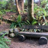 Review photo of Kalaloch Campground - group — Olympic National Park by Kelly G., August 26, 2021