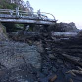 Review photo of Kalaloch Campground - group — Olympic National Park by Kelly G., August 26, 2021