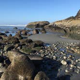 Review photo of Kalaloch Campground - group — Olympic National Park by Kelly G., August 26, 2021