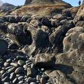 Review photo of Kalaloch Campground - group — Olympic National Park by Kelly G., August 26, 2021