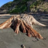 Review photo of Kalaloch Campground - group — Olympic National Park by Kelly G., August 26, 2021