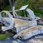 Review photo of Kalaloch Campground - group — Olympic National Park by Kelly G., August 26, 2021