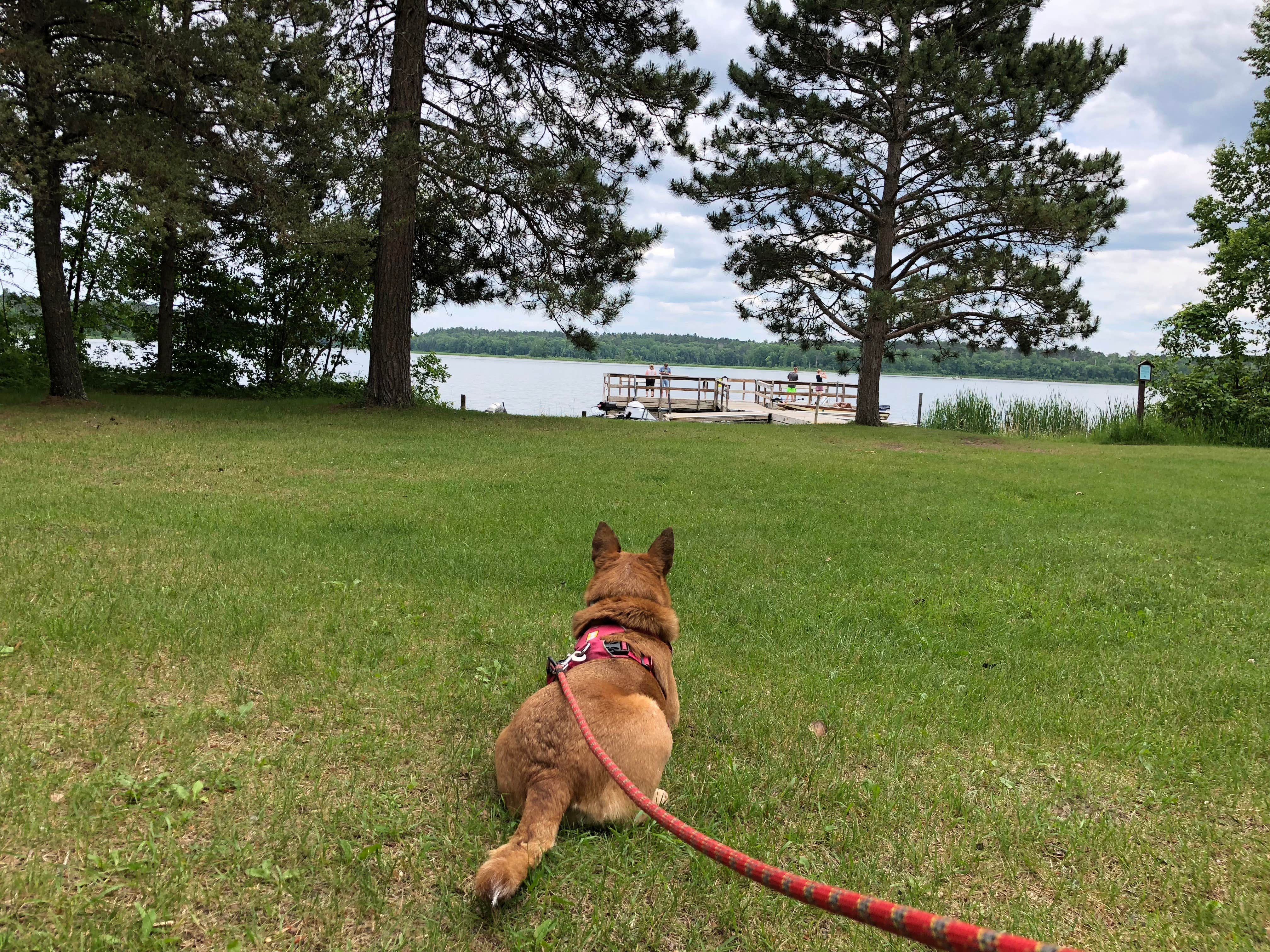 Camper-submitted photo at O-Ne-Gum-E Campground near Wirt, MN