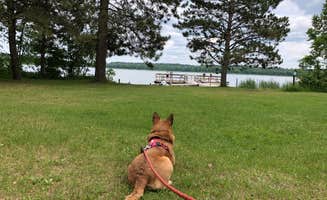 Art S.'s photo of camping with pets at O-Ne-Gum-E Campground near Bigfork, MN