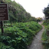 Review photo of Kalaloch Campground - group — Olympic National Park by Kelly G., August 26, 2021