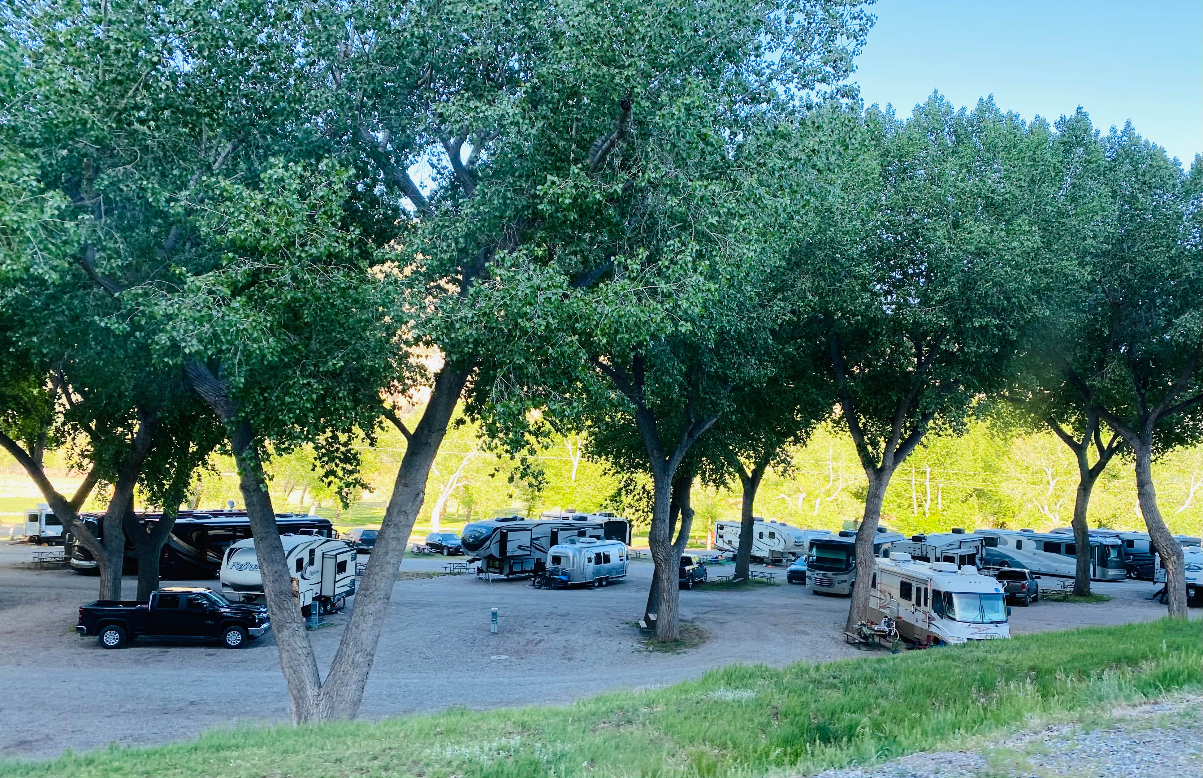 Camper submitted image from United Campground of Durango - 4