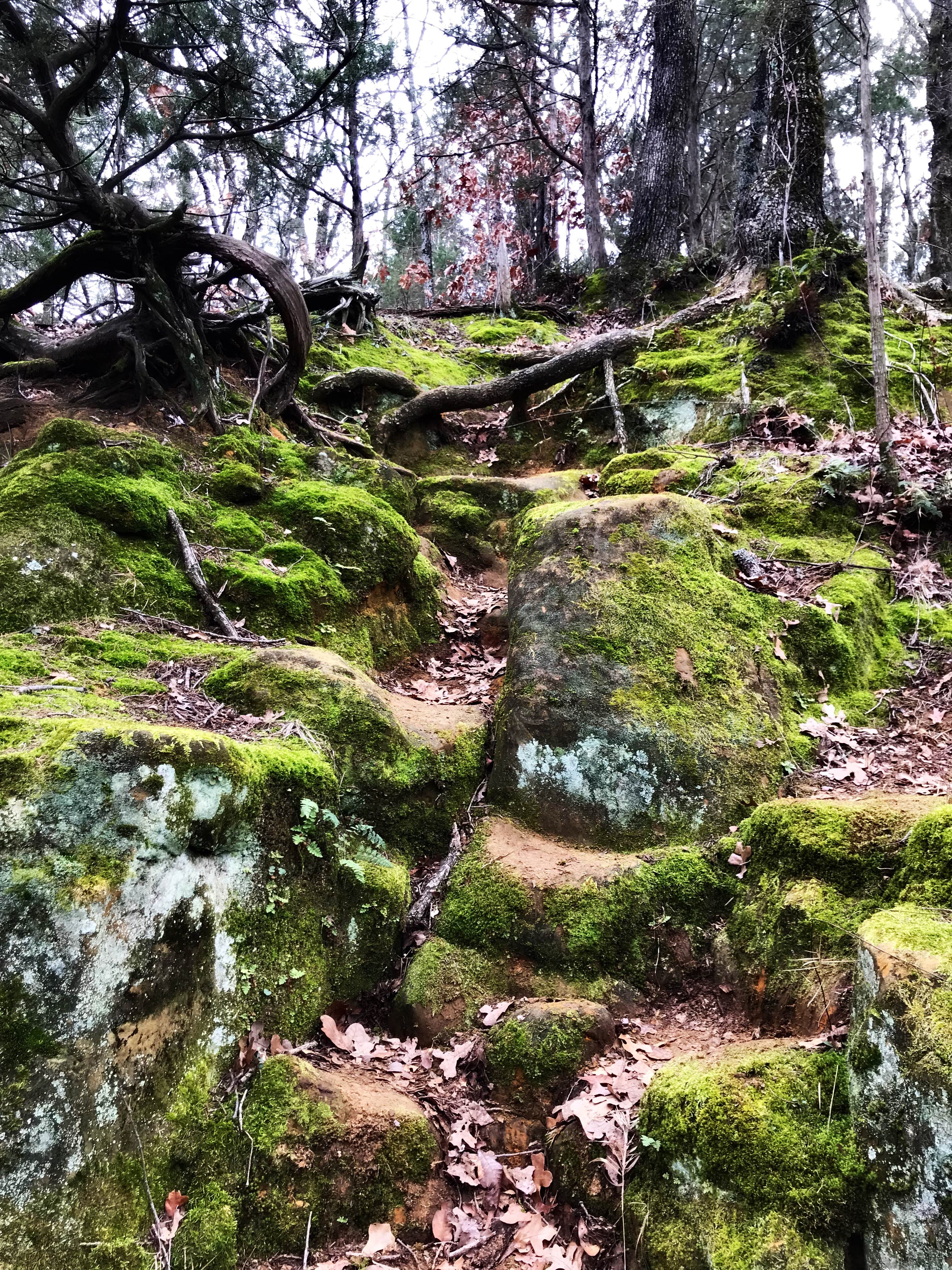 Camper-submitted photo at Eagle’s Roost Campsite near Ardmore, OK