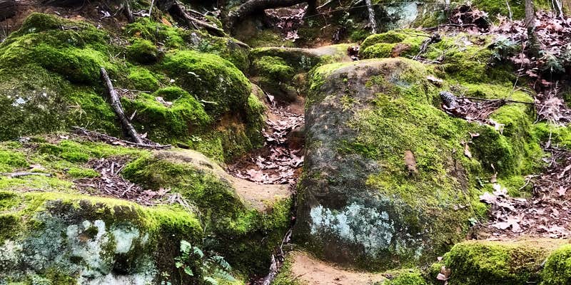 Camper submitted image from Eagle’s Roost Campsite