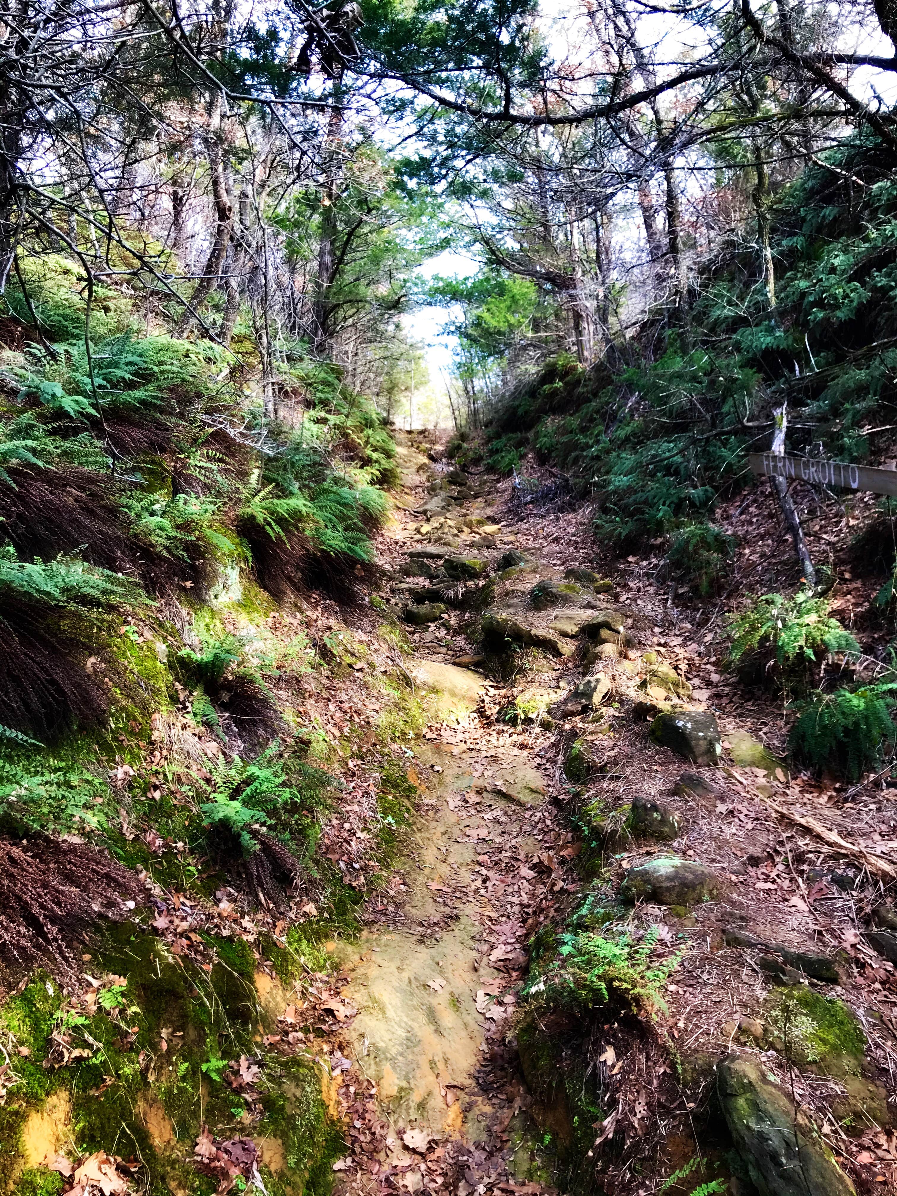 Camper-submitted photo at Eagle’s Roost Campsite near Ardmore, OK