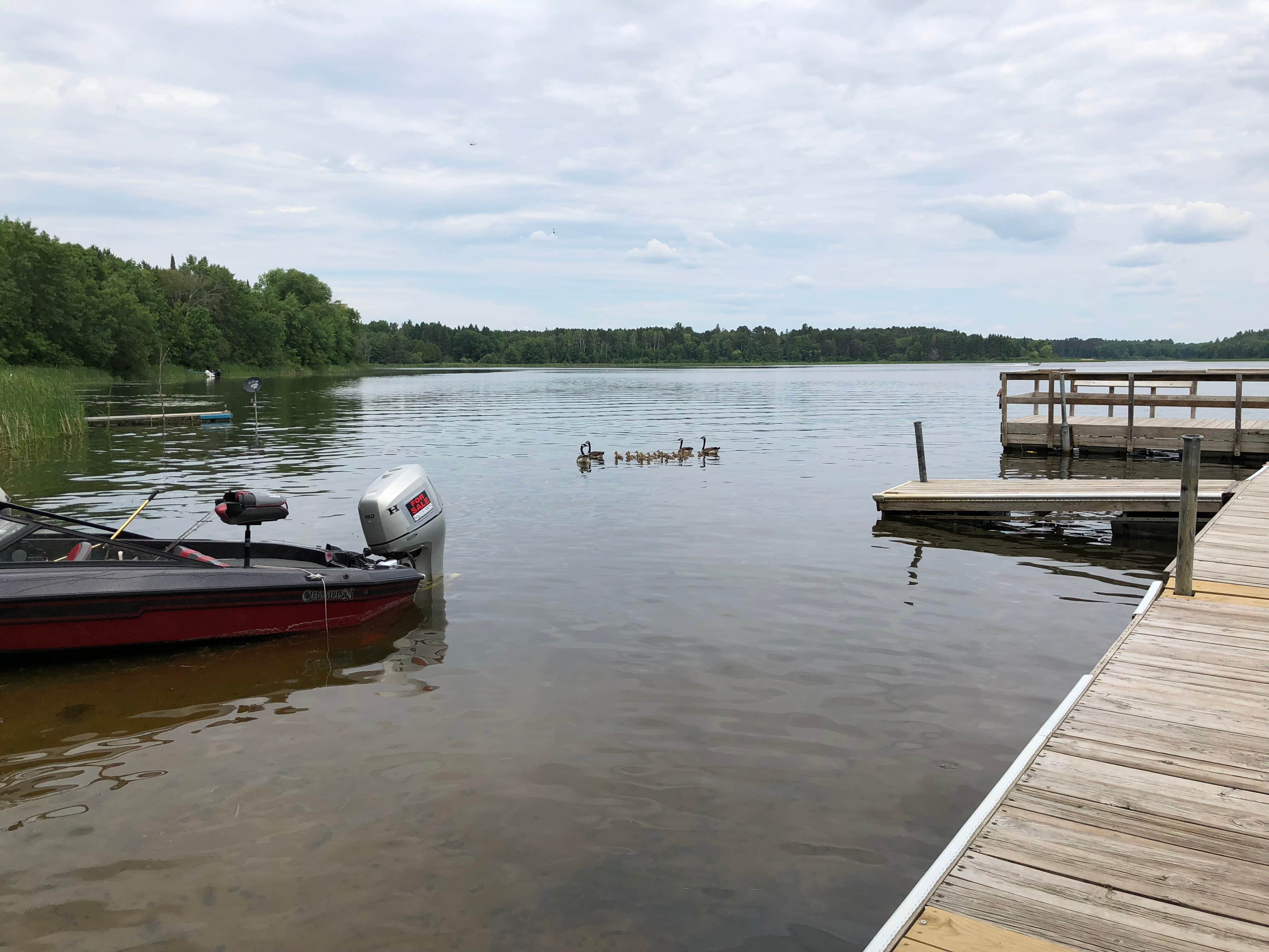 Camper-submitted photo at O-Ne-Gum-E Campground near Wirt, MN