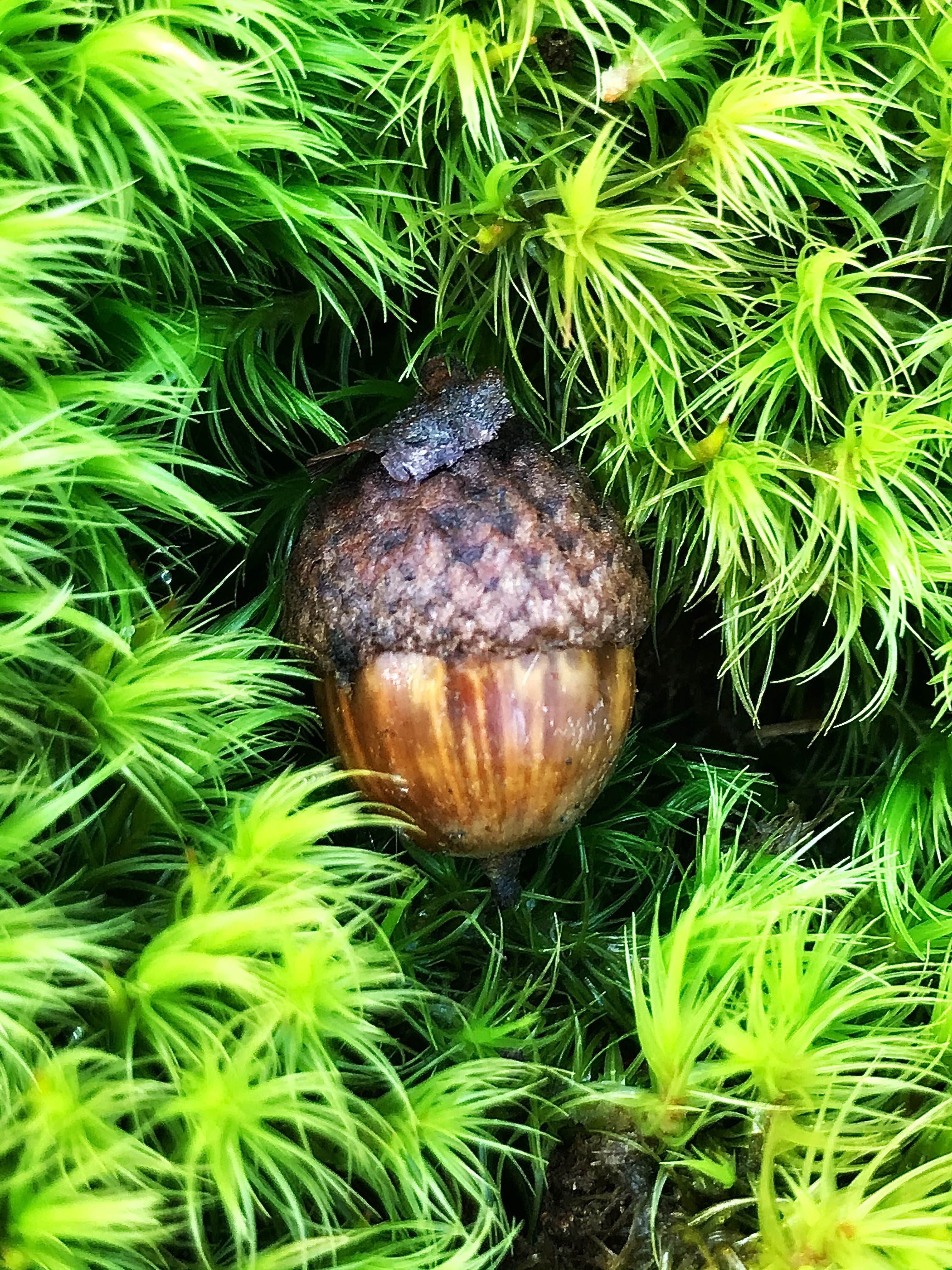 Camper-submitted photo at Eagle’s Roost Campsite near Ardmore, OK